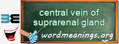 WordMeaning blackboard for central vein of suprarenal gland